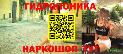 индика Бийск