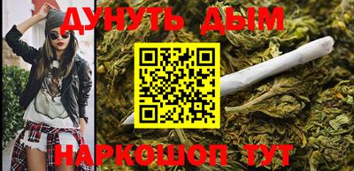 индика Бийск