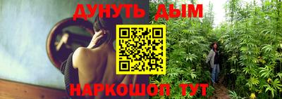 индика Бийск