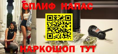 индика Бийск