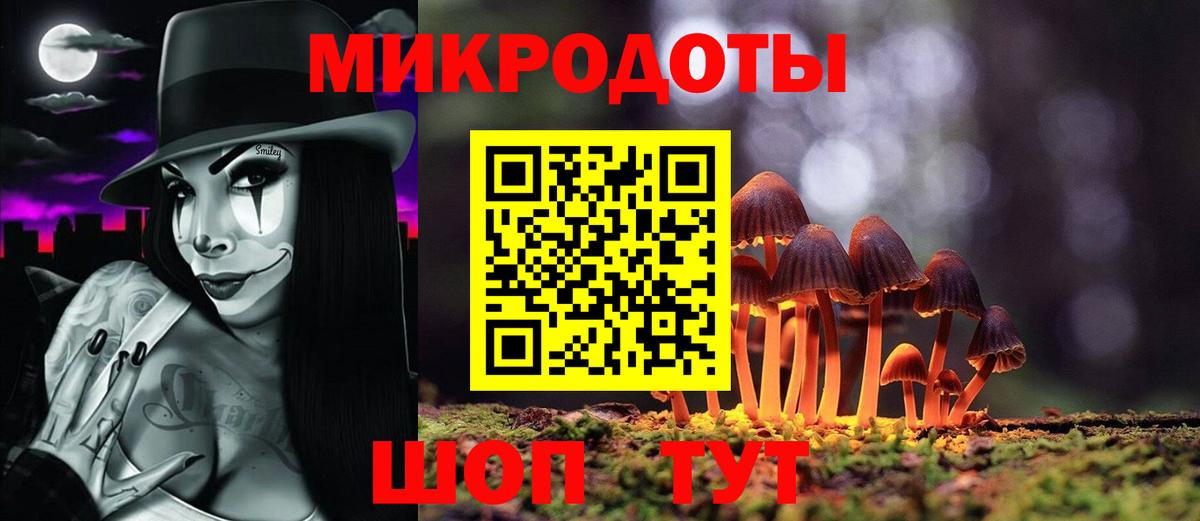 Калининград  Галлюциногенные грибы Psilocybe  Вход с VPN 